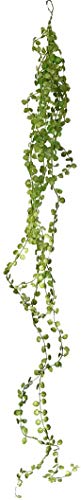 ケーアイジャパン インテリアグリーン 造花 観葉植物 光触媒 フェイクグリーン ビーンバイン 85cm